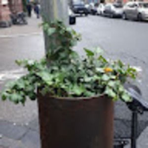 Meet your Posher, Lindsey